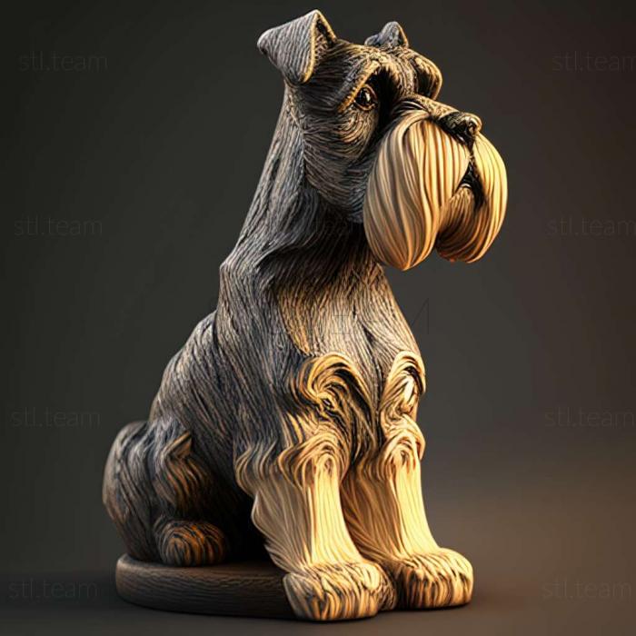 Zwergschnauzer dog